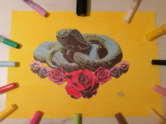 Cobra et roses