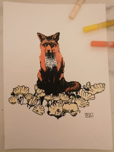 Fox