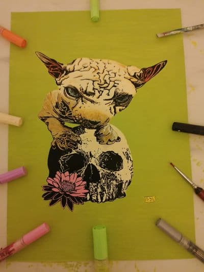 Sphynx cat and skull