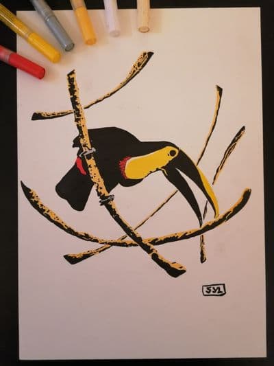 Toucan